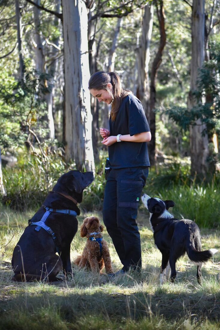 Sophie with a dog during a one-on-one training session