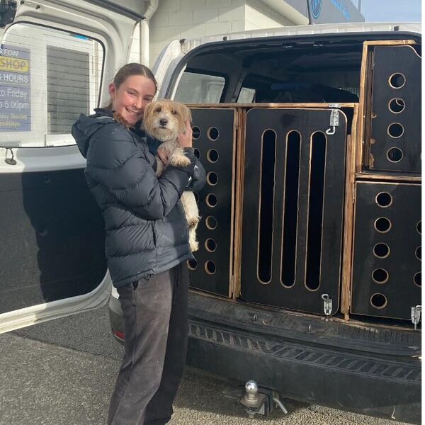 Dog being safely loaded into the Pawtastic van