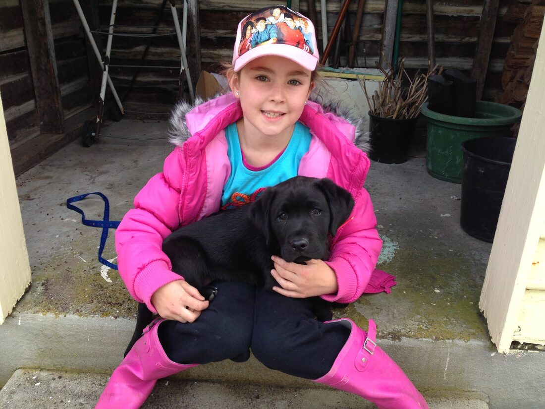 Young Sophie cuddling Blackie the black Labrador puppy