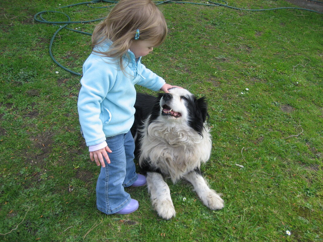 Sophie as a toddler patting the family border collie
