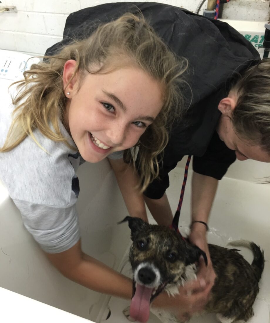 Sophie washing a dog in the tub during her first grooming job