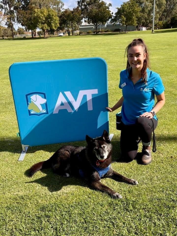 Sophie at an Animal Behaviour and Training event with a canine friend
